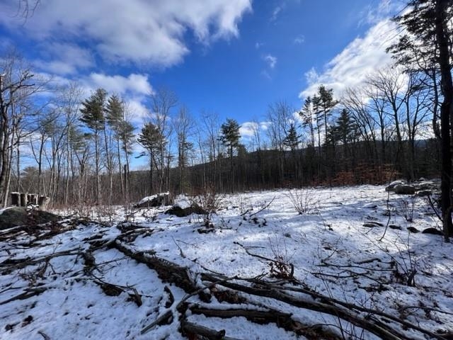Loverens Mill Road, Unit 29 Antrim, NH 03440 - Photo 7 of 15