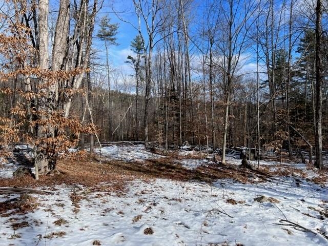 Loverens Mill Road, Unit 29 Antrim, NH 03440 - Photo 8 of 15