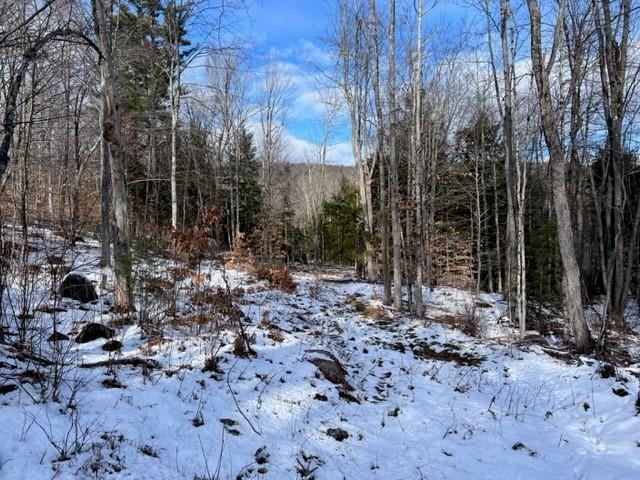 Loverens Mill Road, Unit 29 Antrim, NH 03440 - Photo 9 of 15