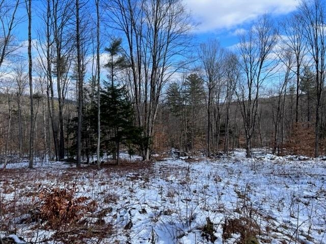Loverens Mill Road, Unit 29 Antrim, NH 03440 - Photo 10 of 15