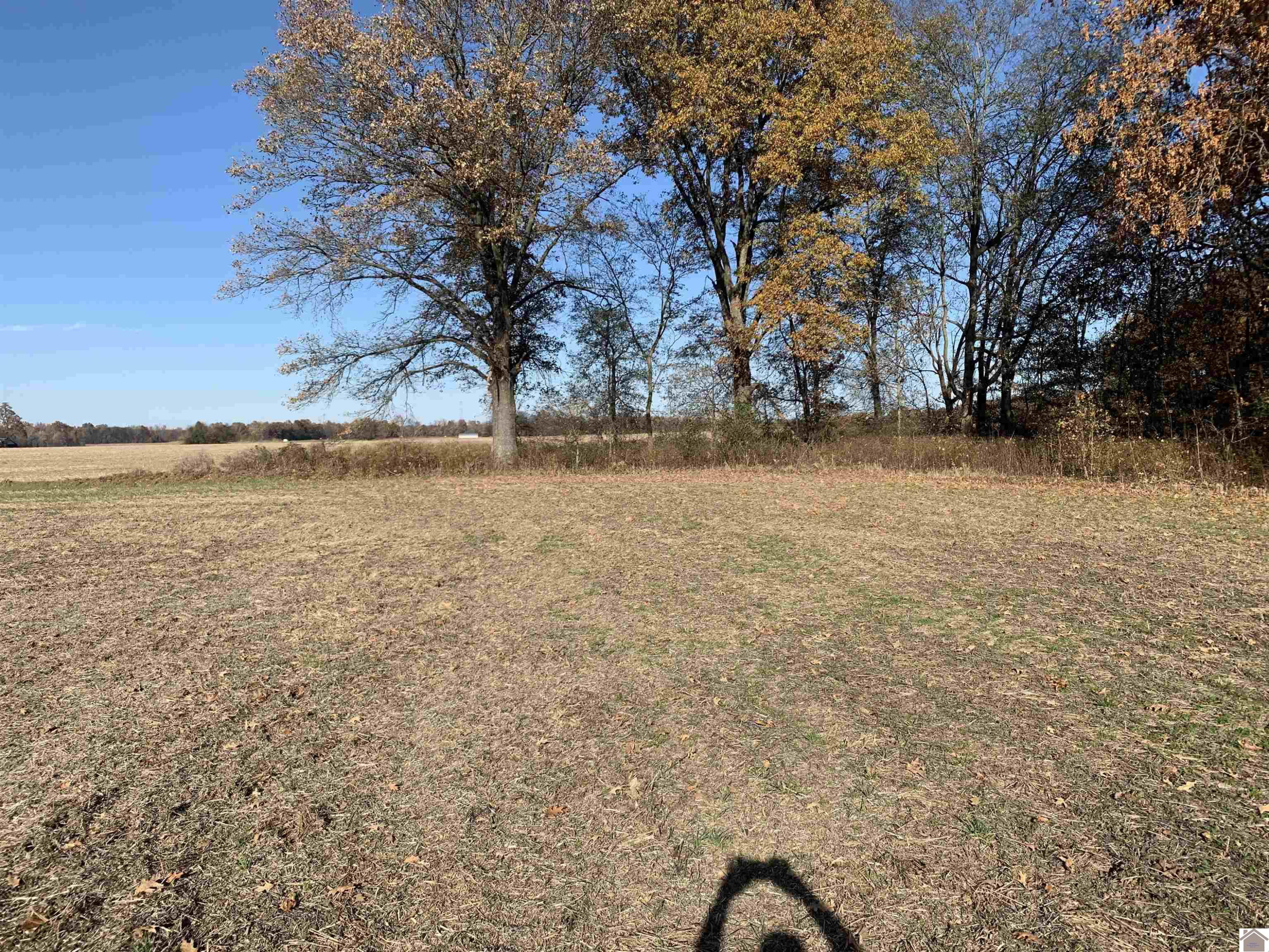 0 Crawford Lake Road Kevil, KY 42053 - Photo 9 of 10 Photo 9