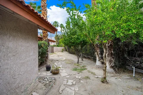 a view of a yard with plants and trees