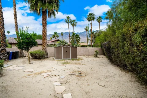 a view of a backyard