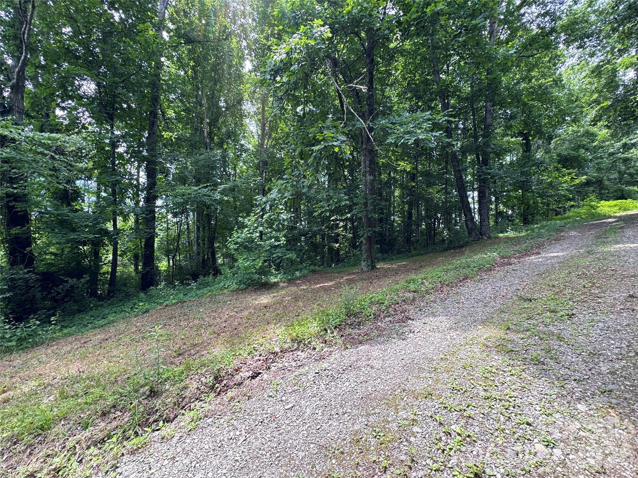 400 Sharon Road Fairview, NC 28730 - Photo 29 of 39