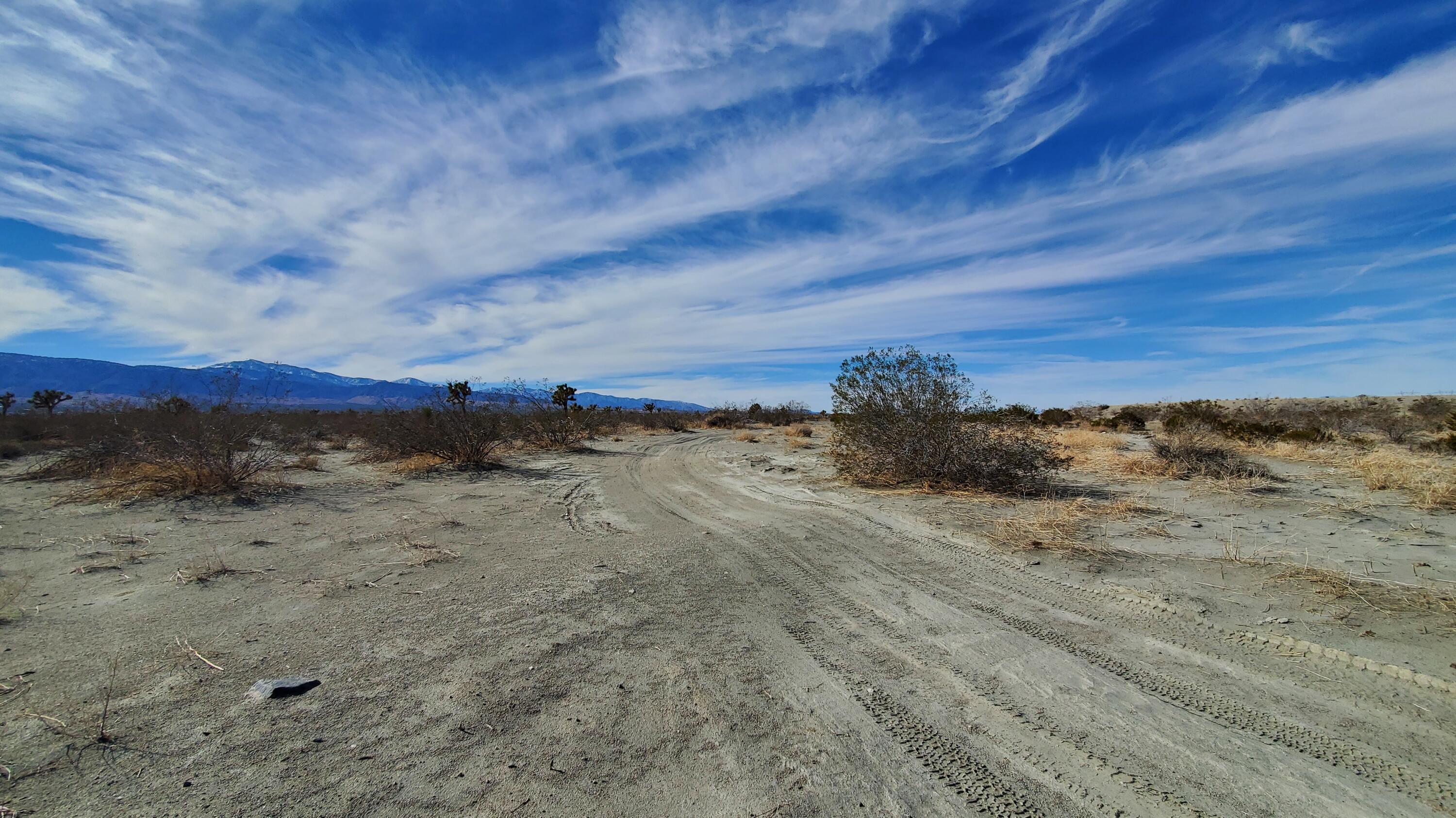 Olivera Road Pinon Hills, CA 92372 - Photo 1 of 19 a view of a dry yard with wooden fence