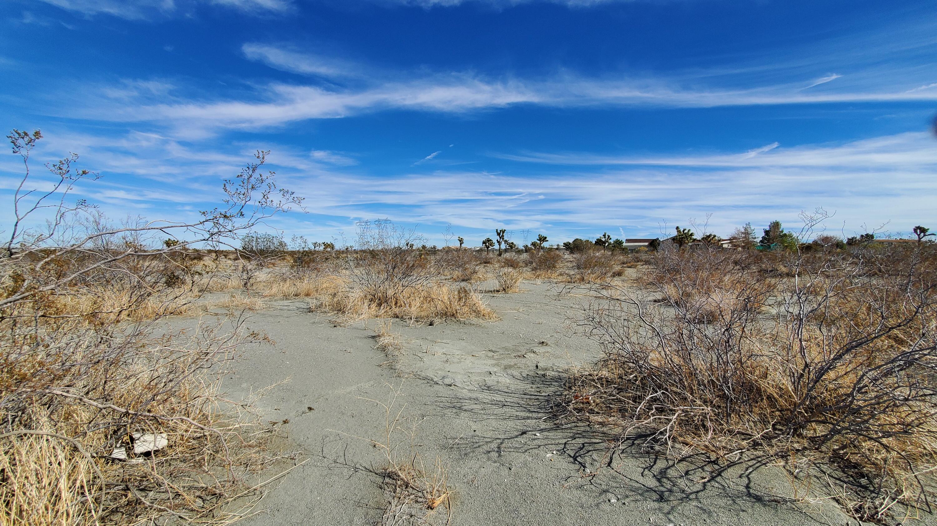 Olivera Road Pinon Hills, CA 92372 - Photo 5 of 19 a view of ocean view with beach