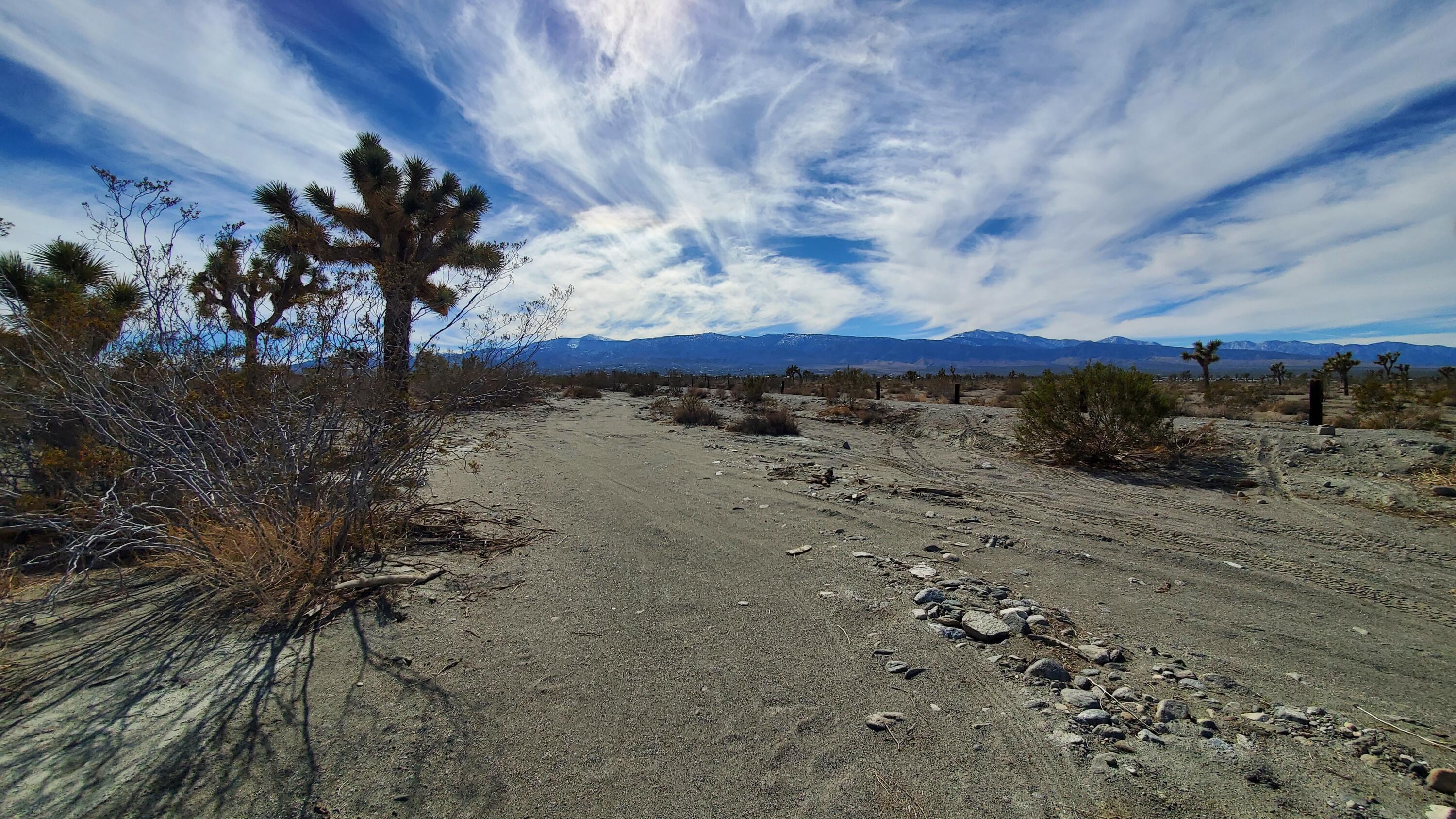 Olivera Road Pinon Hills, CA 92372 - Photo 6 of 19 a view of a dry yard with wooden fence