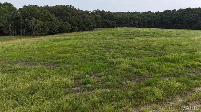 $300,000 | 408 Stones Throw Court, Defiance, MO 63341