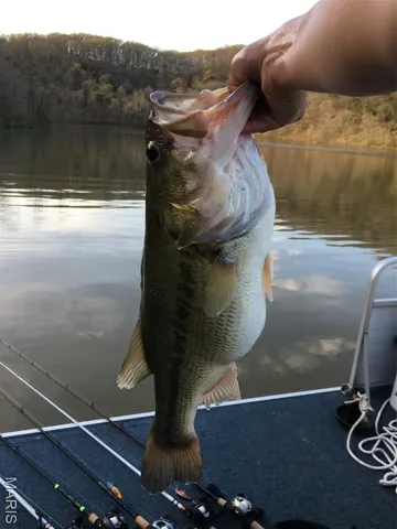 $300,000 | 408 Stones Throw Court, Defiance, MO 63341