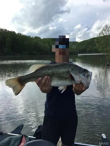 $300,000 | 408 Stones Throw Court, Defiance, MO 63341