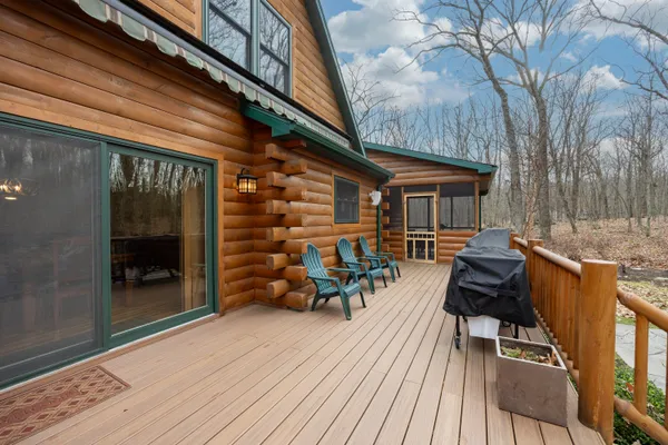 a view of a dry yard