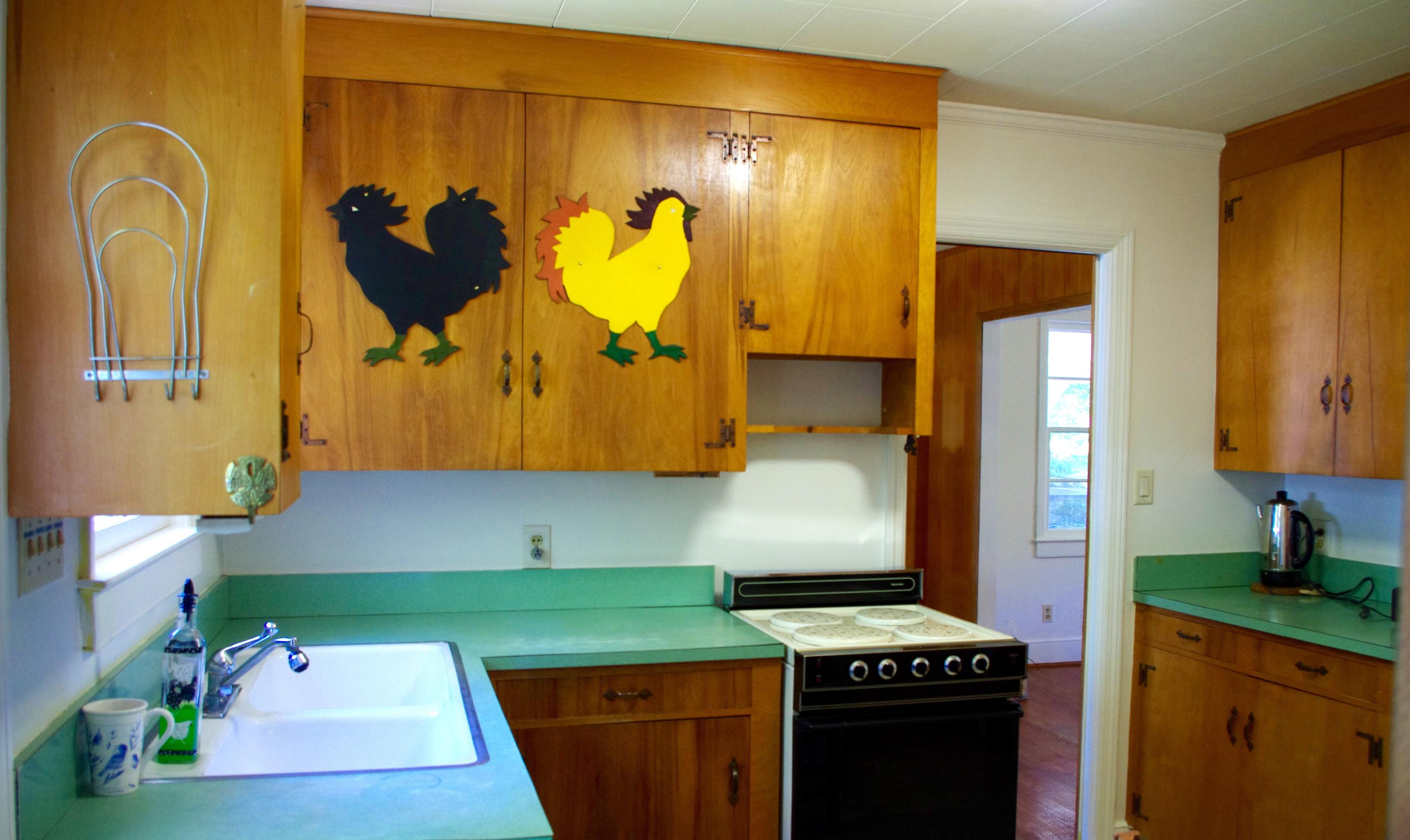 1131 Wyndham Road Charleston, SC 29412 - Photo 6 of 16 Kitchen