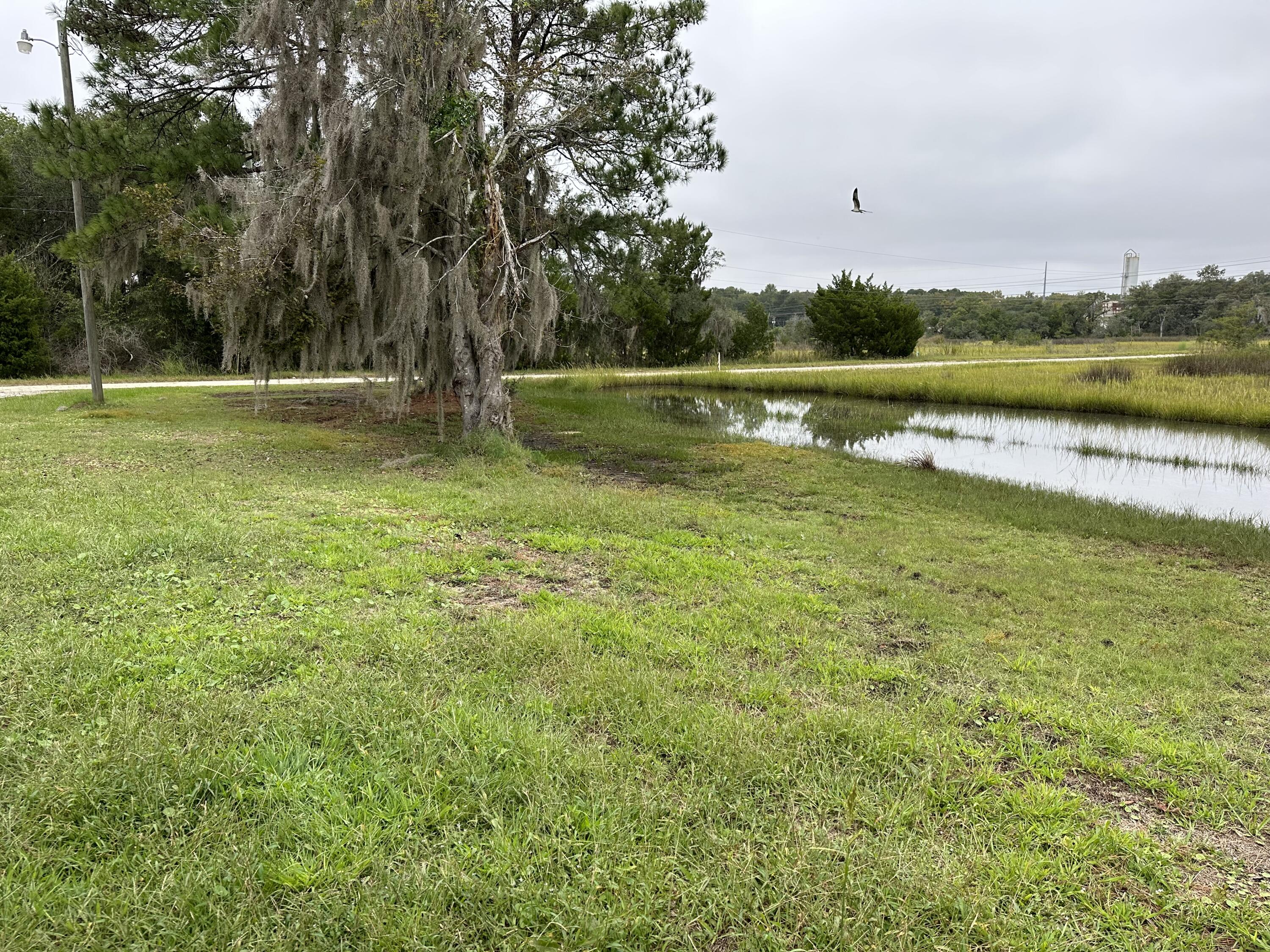 3817 James Bay Road Johns Island, SC 29455 - Photo 4 of 5 Charlotte Reeves - IMG_5803