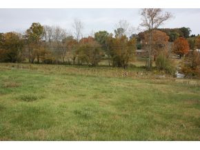 Lot 3-tbd Clear Springs Road, Unit 3 Limestone, TN 37681 - Photo 13 of 22 Photo 13