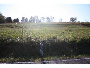 Lot 3-tbd Clear Springs Road, Unit 3 Limestone, TN 37681 - Photo 3 of 22 Photo 3