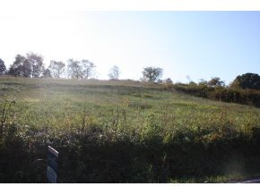 Lot 3-tbd Clear Springs Road, Unit 3 Limestone, TN 37681 - Photo 4 of 22 Photo 4