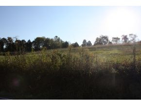 Lot 3-tbd Clear Springs Road, Unit 3 Limestone, TN 37681 - Photo 5 of 22 Photo 5