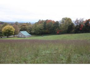 Lot 3-tbd Clear Springs Road, Unit 3 Limestone, TN 37681 - Photo 6 of 22 Photo 6