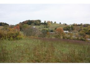 Lot 3-tbd Clear Springs Road, Unit 3 Limestone, TN 37681 - Photo 9 of 22 Photo 9