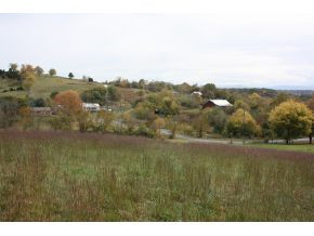 Lot 3-tbd Clear Springs Road, Unit 3 Limestone, TN 37681 - Photo 10 of 22 Photo 10