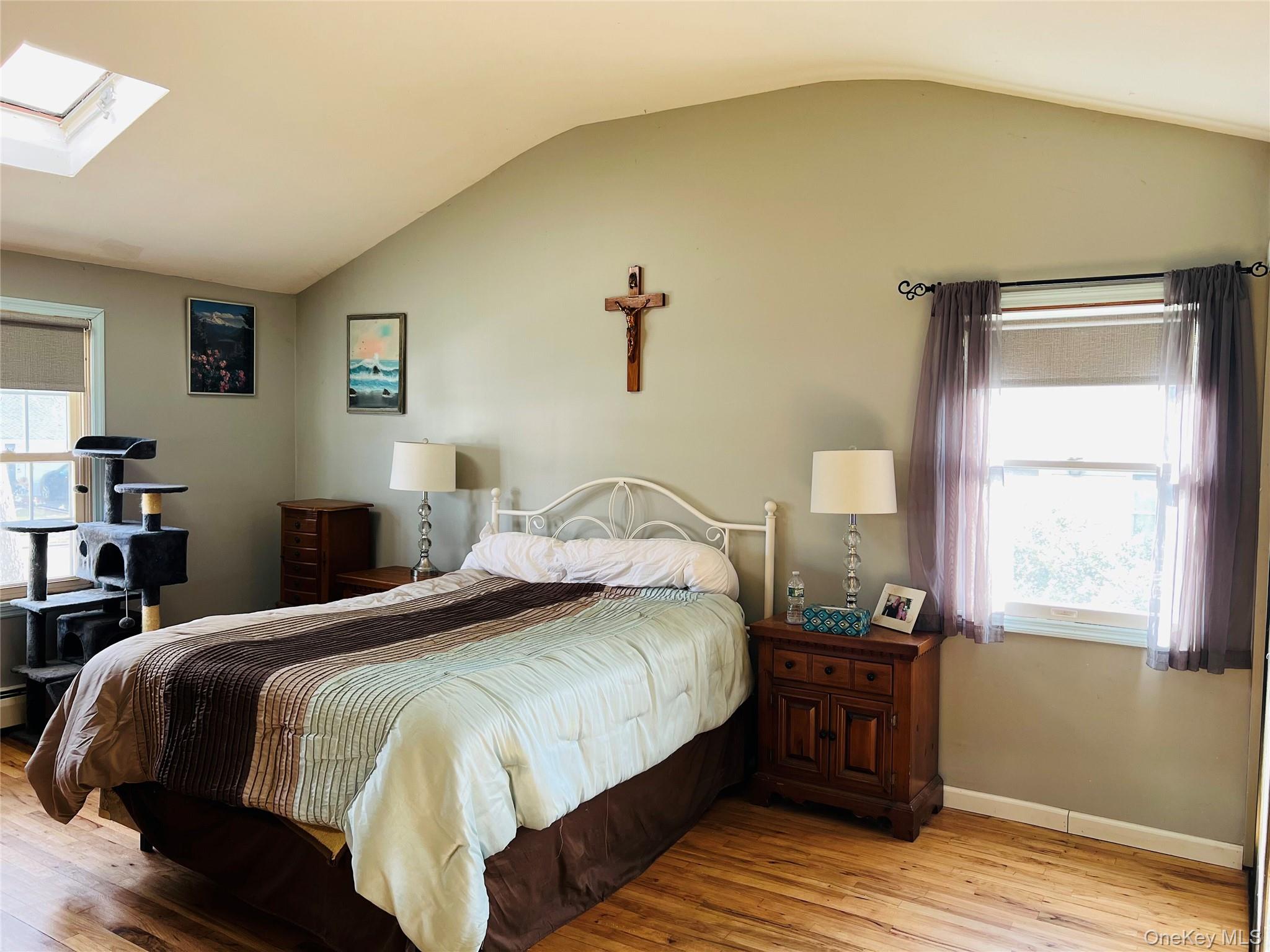 38 Riviera Drive Selden, NY 11784 - Photo 4 of 12 Bedroom with a skylight, light wood finished floors, and vaulted ceiling