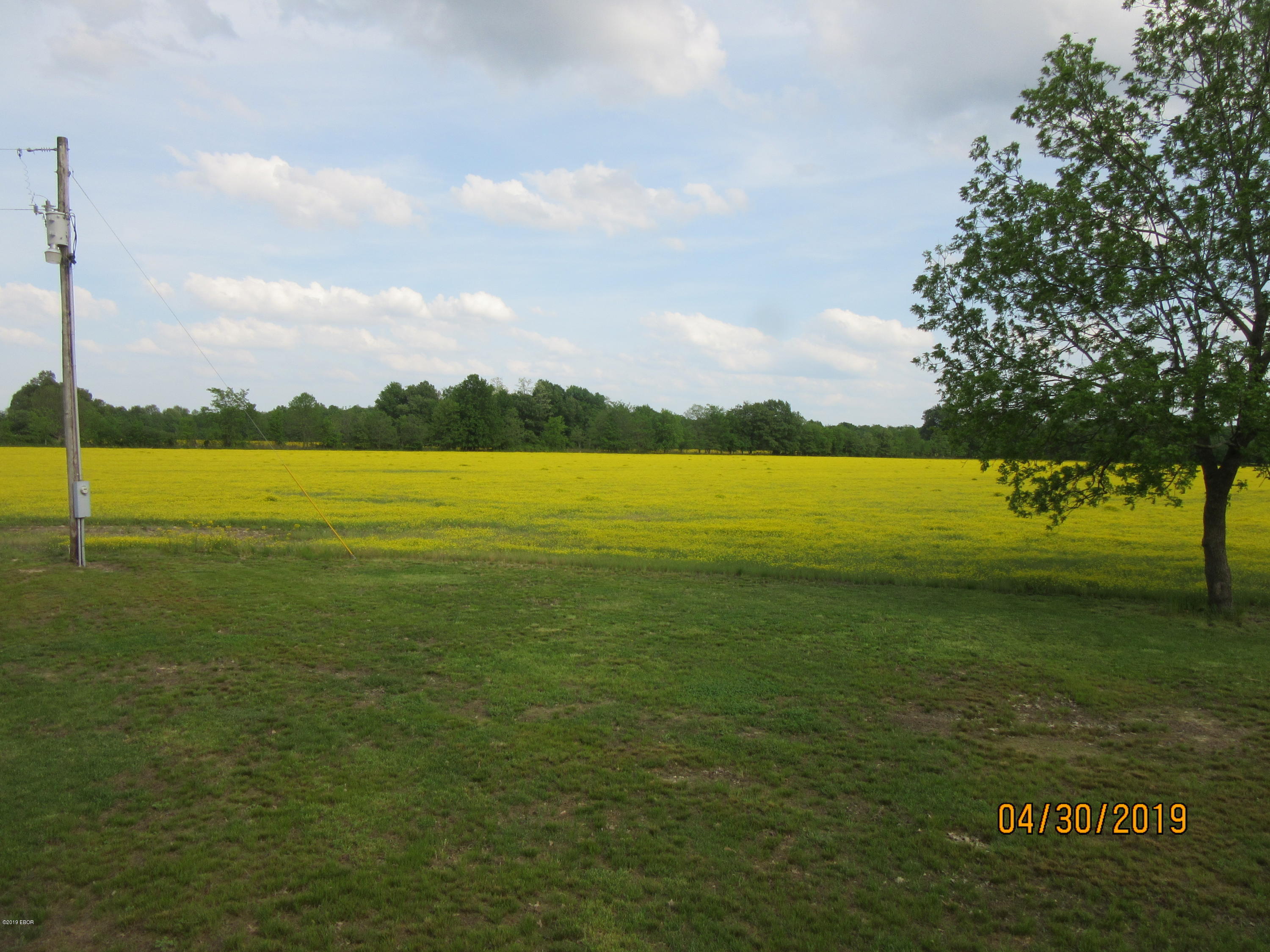 6922 Unionville Road Brookport, IL 62910 - Photo 30 of 36 Gallery Image 30