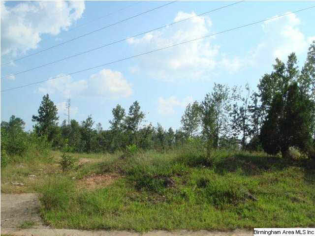 5285 Balboa Avenue Pinson, AL 35126 - Photo 2 of 3