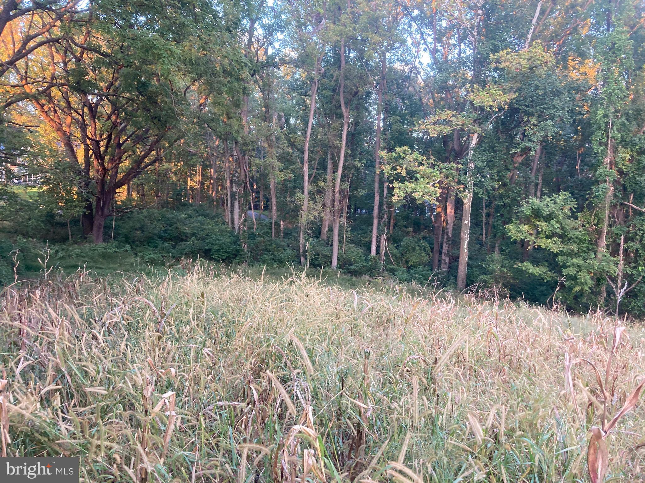 Dover Road Glyndon, MD 21136 - Photo 12 of 17 a backyard of a house with lots of green space