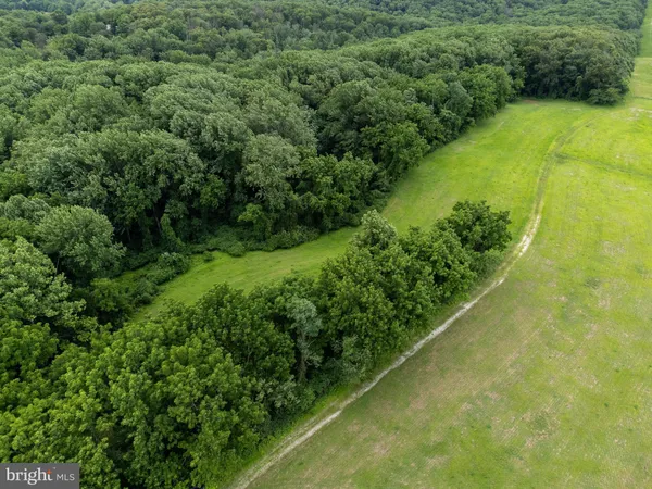 a view of a lush green forest with a sink