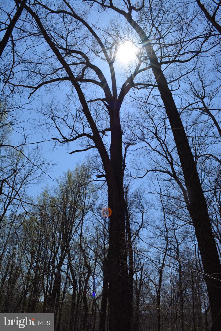 Dover Road Glyndon, MD 21136 - Photo 16 of 17