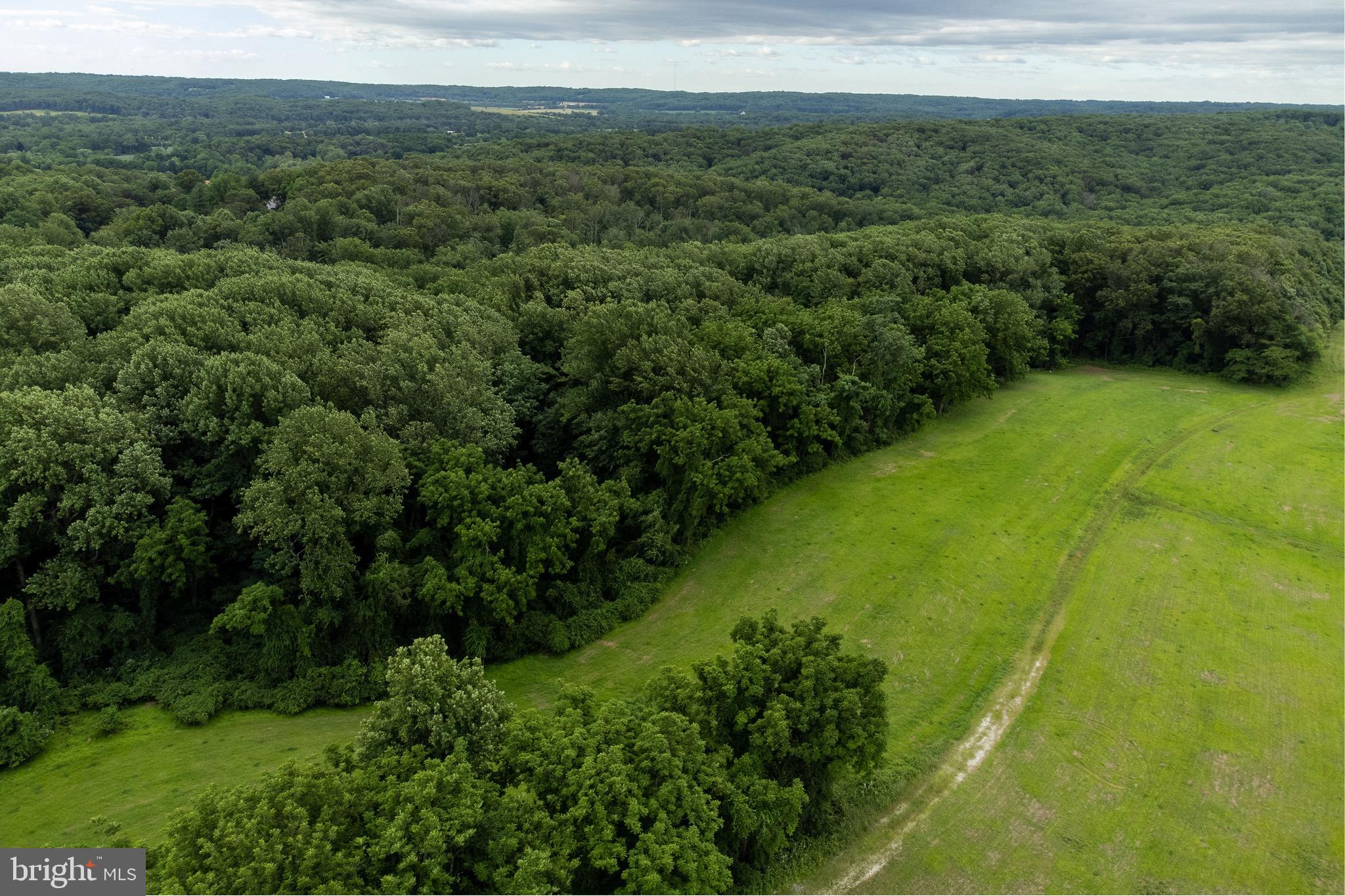 Dover Road Glyndon, MD 21136 - Photo 17 of 17 a view of a lush green forest with a sink