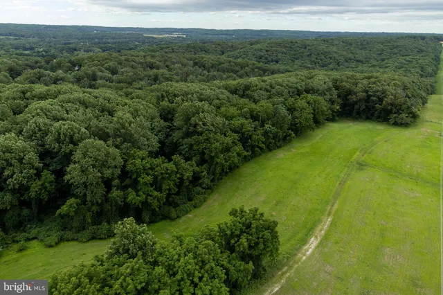 a view of a lush green forest with a sink