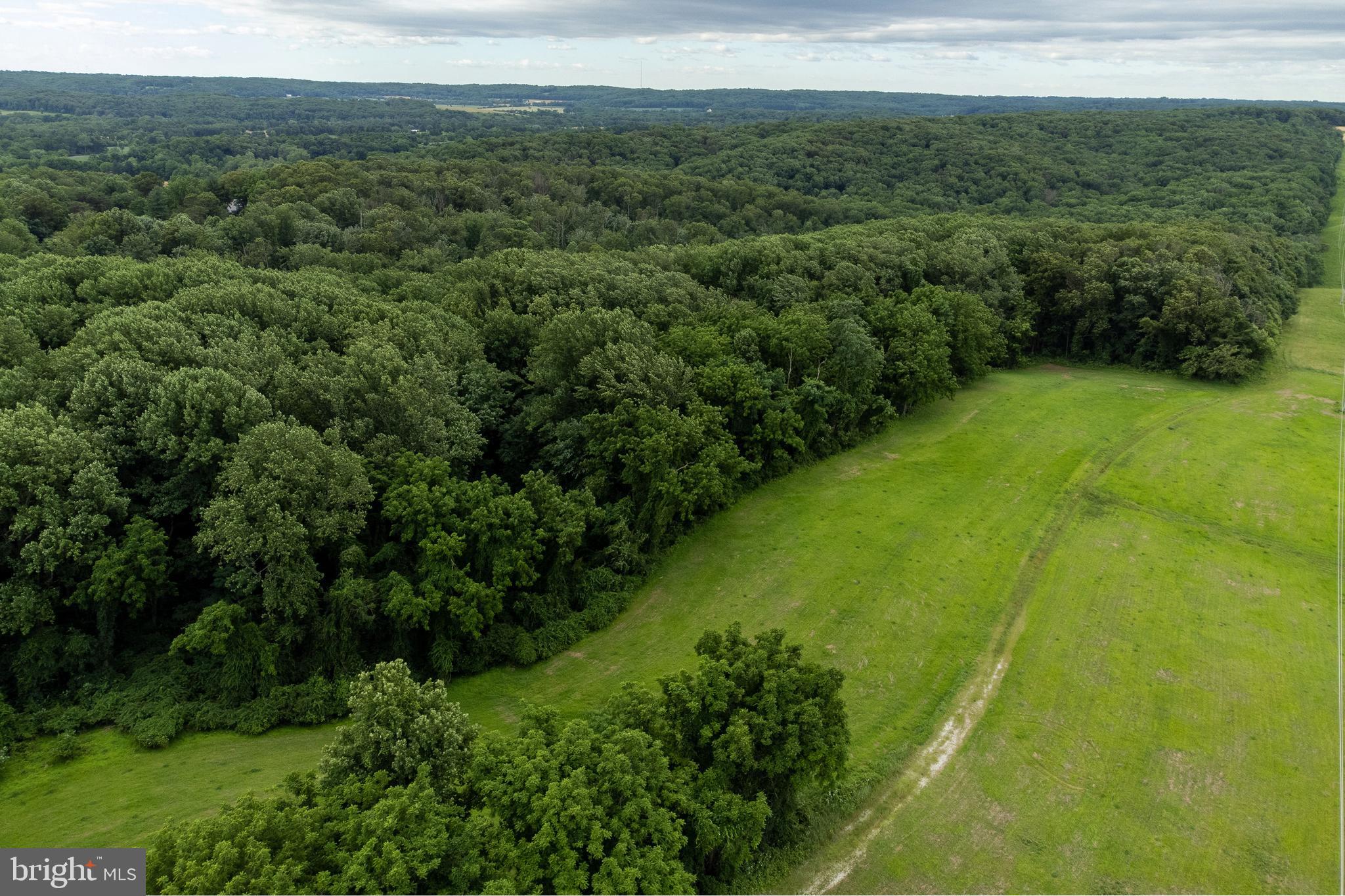 Dover Road Glyndon, MD 21136 - Photo 2 of 17 a view of a lush green forest with a sink