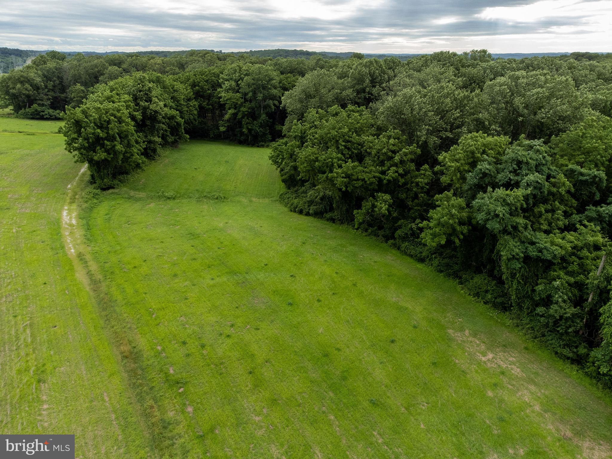 Dover Road Glyndon, MD 21136 - Photo 5 of 17 a view of a yard with a tree
