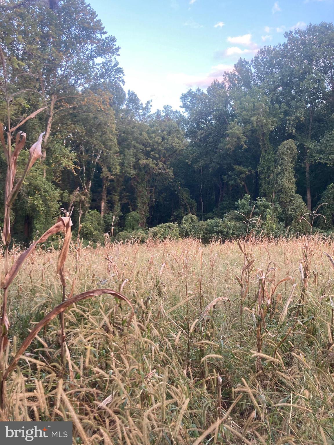 Dover Road Glyndon, MD 21136 - Photo 6 of 17 a view of a covered with snow in the yard