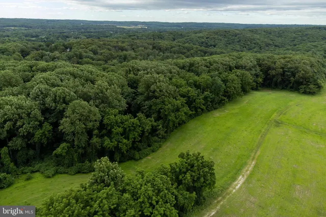a view of a lush green forest with a sink