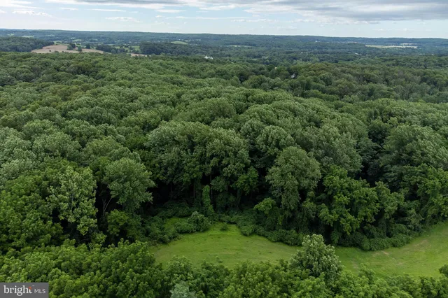 an aerial view of green landscape with trees houses and mountain view