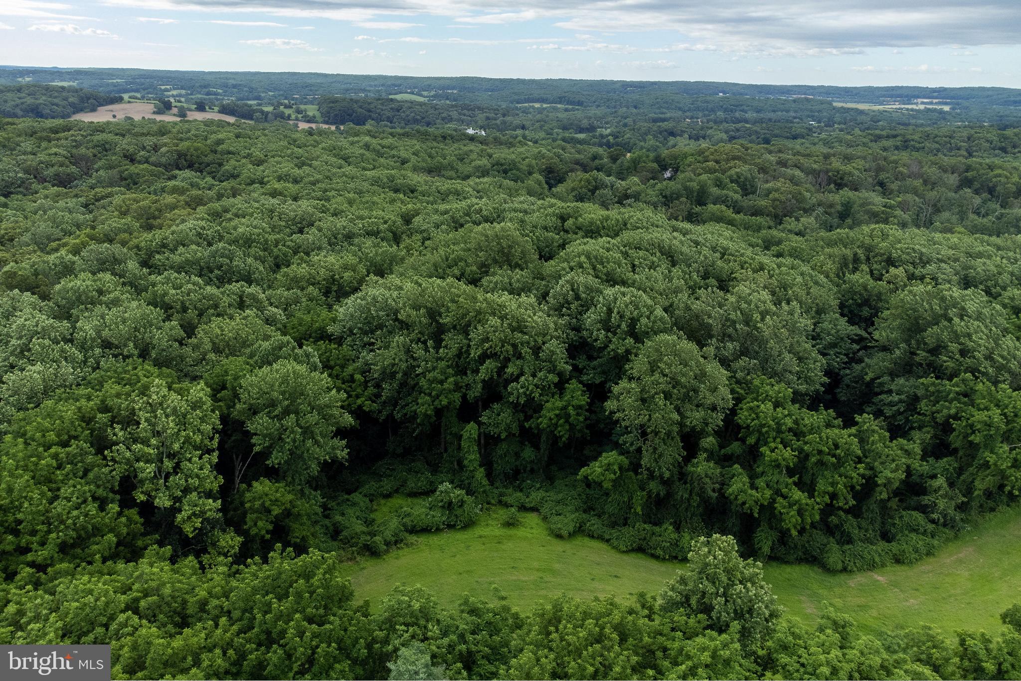 Dover Road Glyndon, MD 21136 - Photo 9 of 17 an aerial view of green landscape with trees houses and mountain view