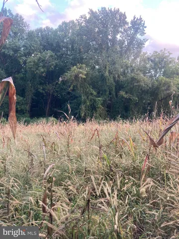 a view of snow on the side of a road