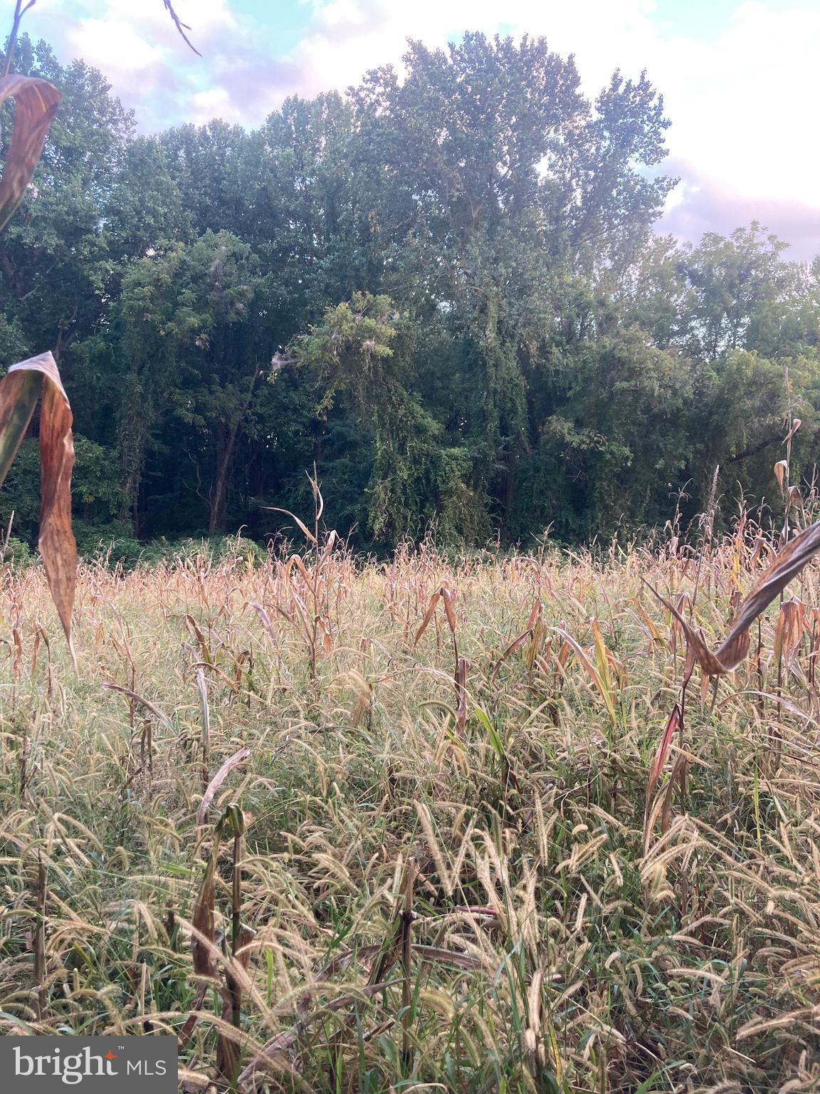 Dover Road Glyndon, MD 21136 - Photo 10 of 17 a view of snow on the side of a road