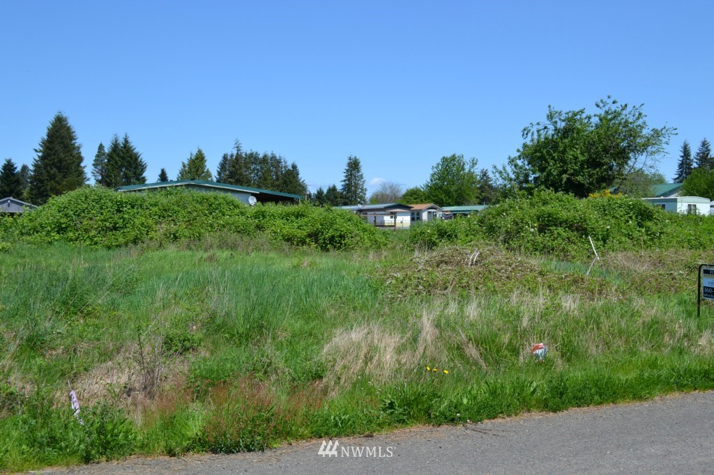 9999 Perry Street Forks, WA 98331 - Photo 1 of 3 Gallery Image 1
