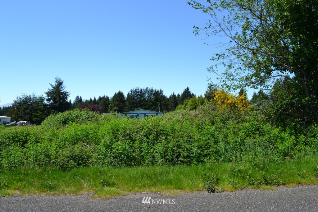 9999 Perry Street Forks, WA 98331 - Photo 3 of 3 Gallery Image 3