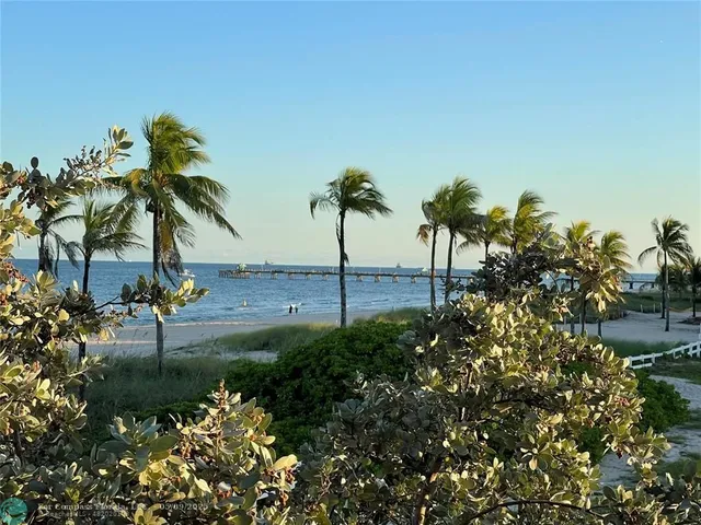 a view of a yard with a fountain