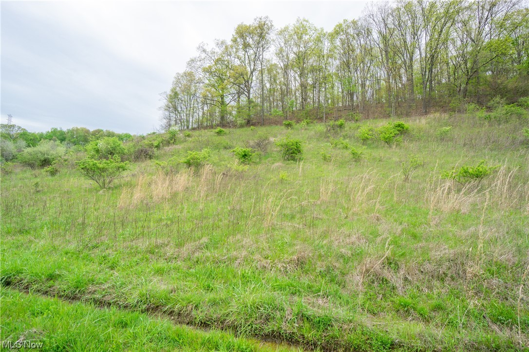Palmer Road Kimbolton, OH 43749 - Photo 7 of 26 Gallery Image 7