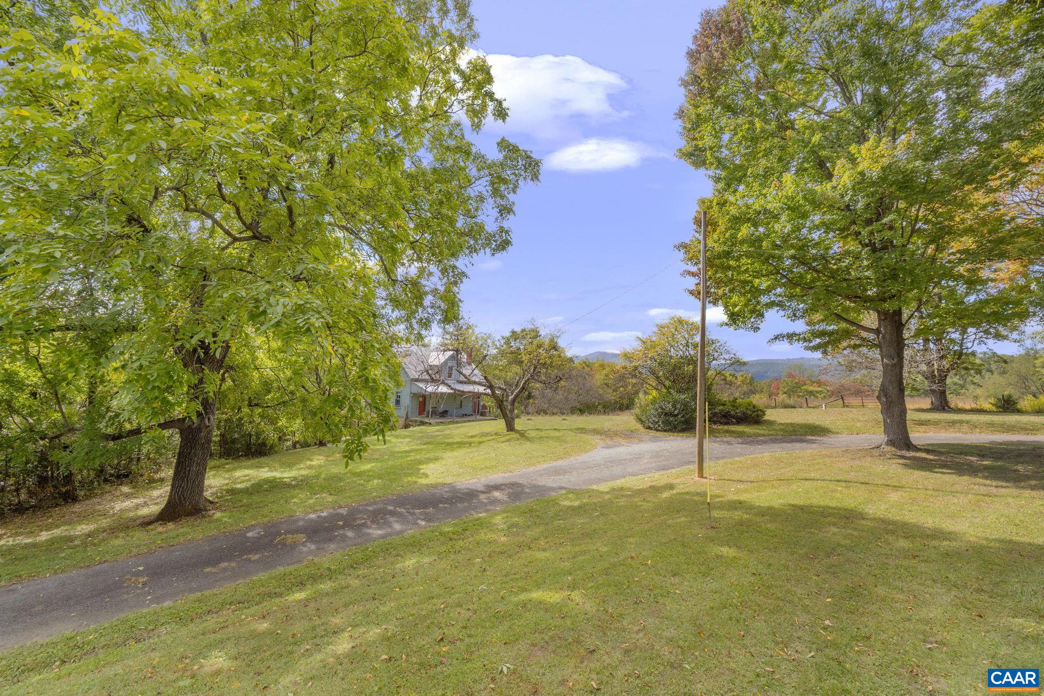 9281 Dick Woods Road Afton, VA 22920 - Photo 21 of 29 a view of yard with tree and trees