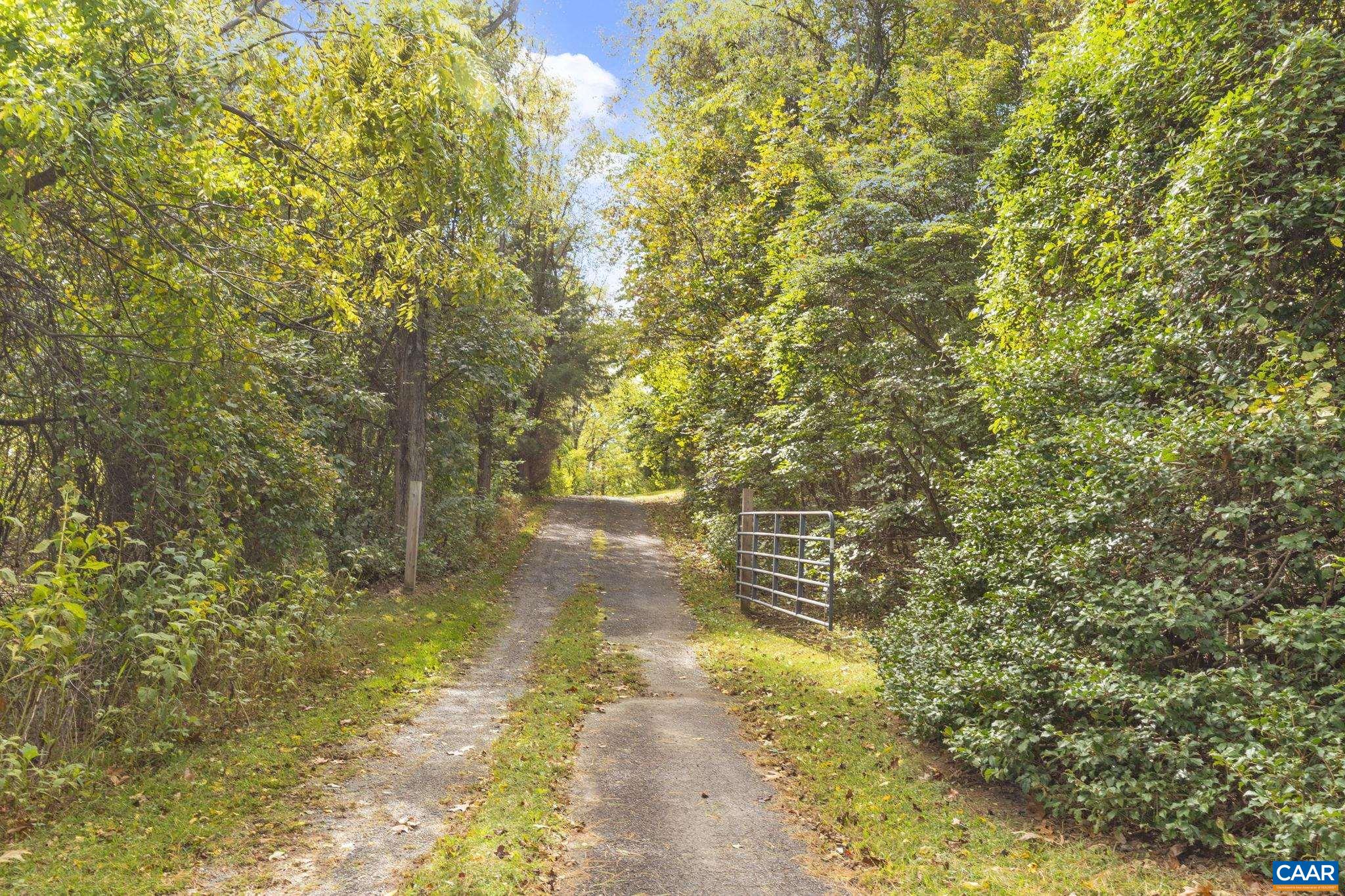 9281 Dick Woods Road Afton, VA 22920 - Photo 24 of 29