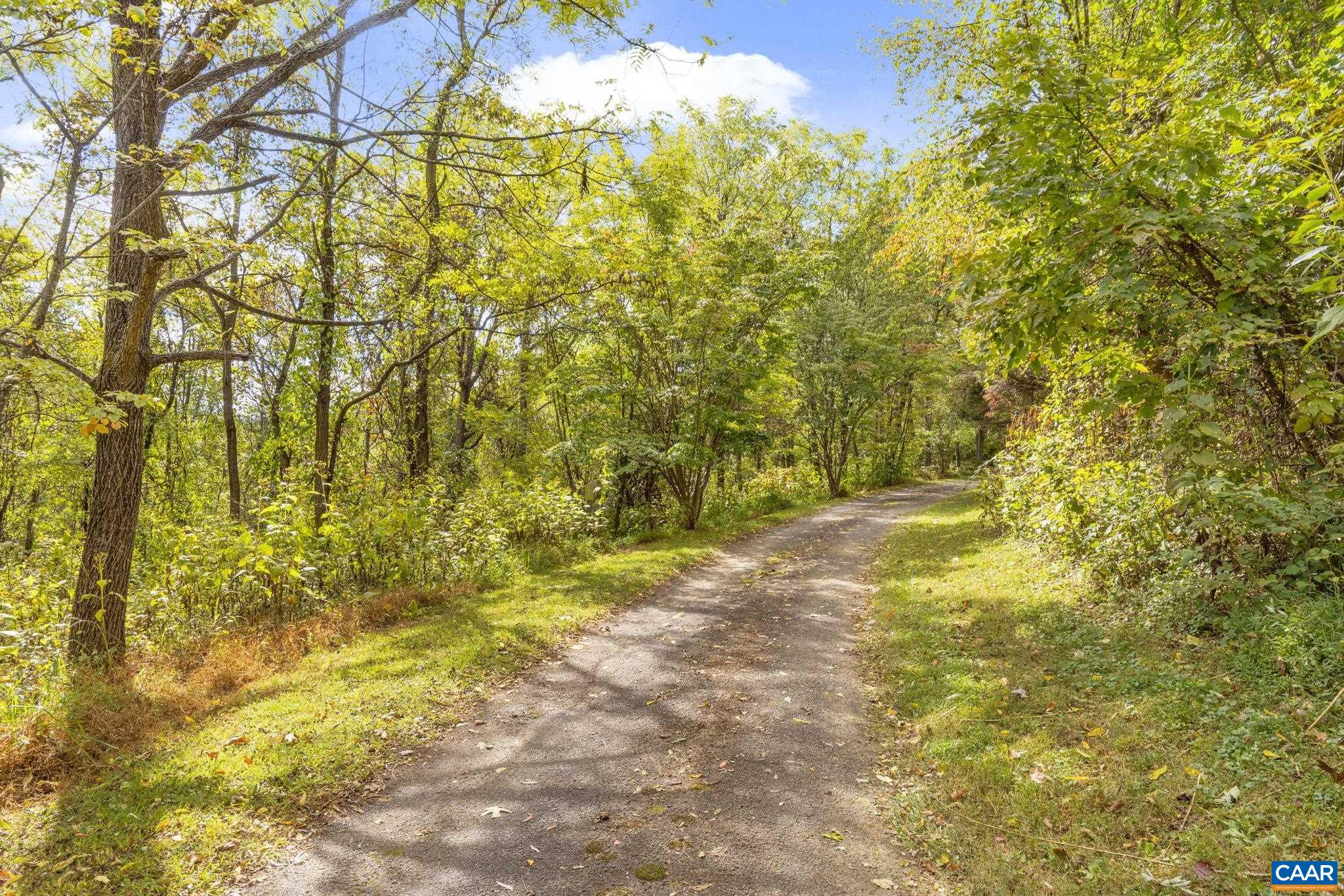 9281 Dick Woods Road Afton, VA 22920 - Photo 25 of 29 a view of yard with swimming pool and green space
