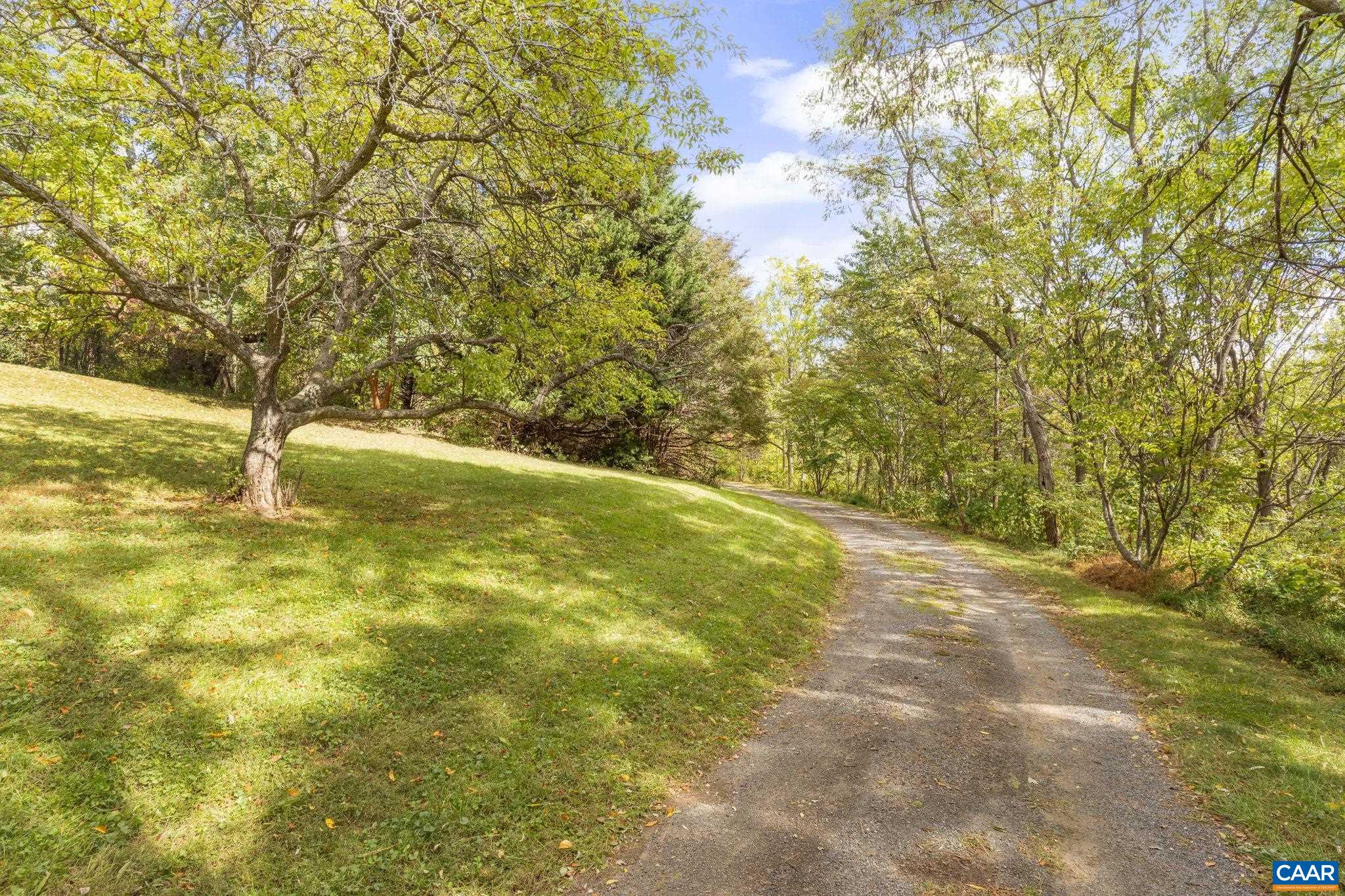 9281 Dick Woods Road Afton, VA 22920 - Photo 27 of 29 a view of yard with swimming pool and trees