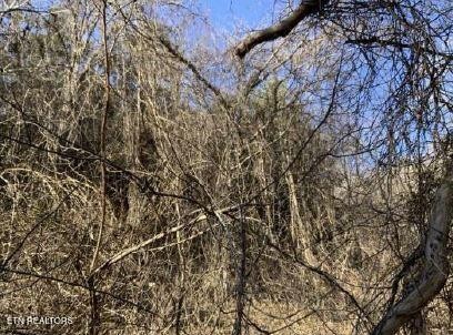 0 Henry Road Newport, TN 37821 - Photo 5 of 27
