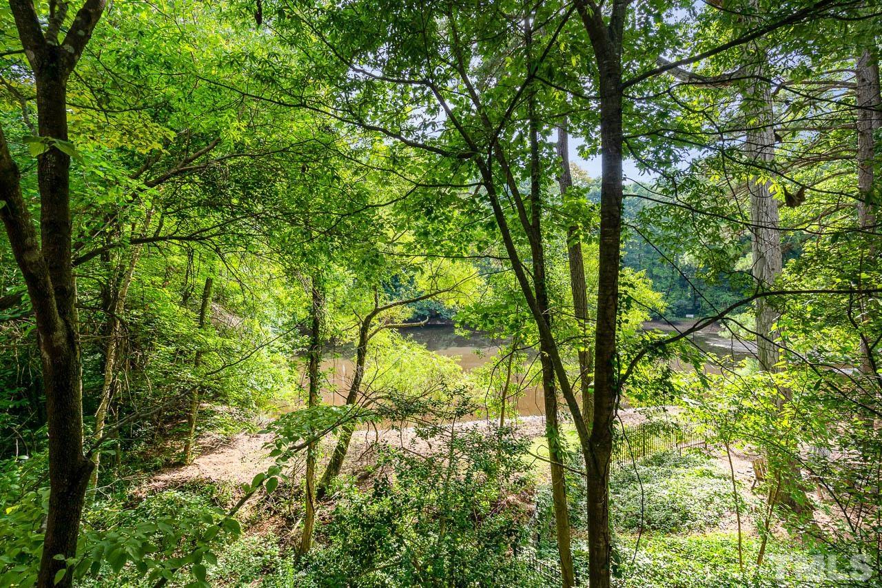 2913 Rue Sans Famille Raleigh, NC 27607 - Photo 4 of 25 a view of a yard
